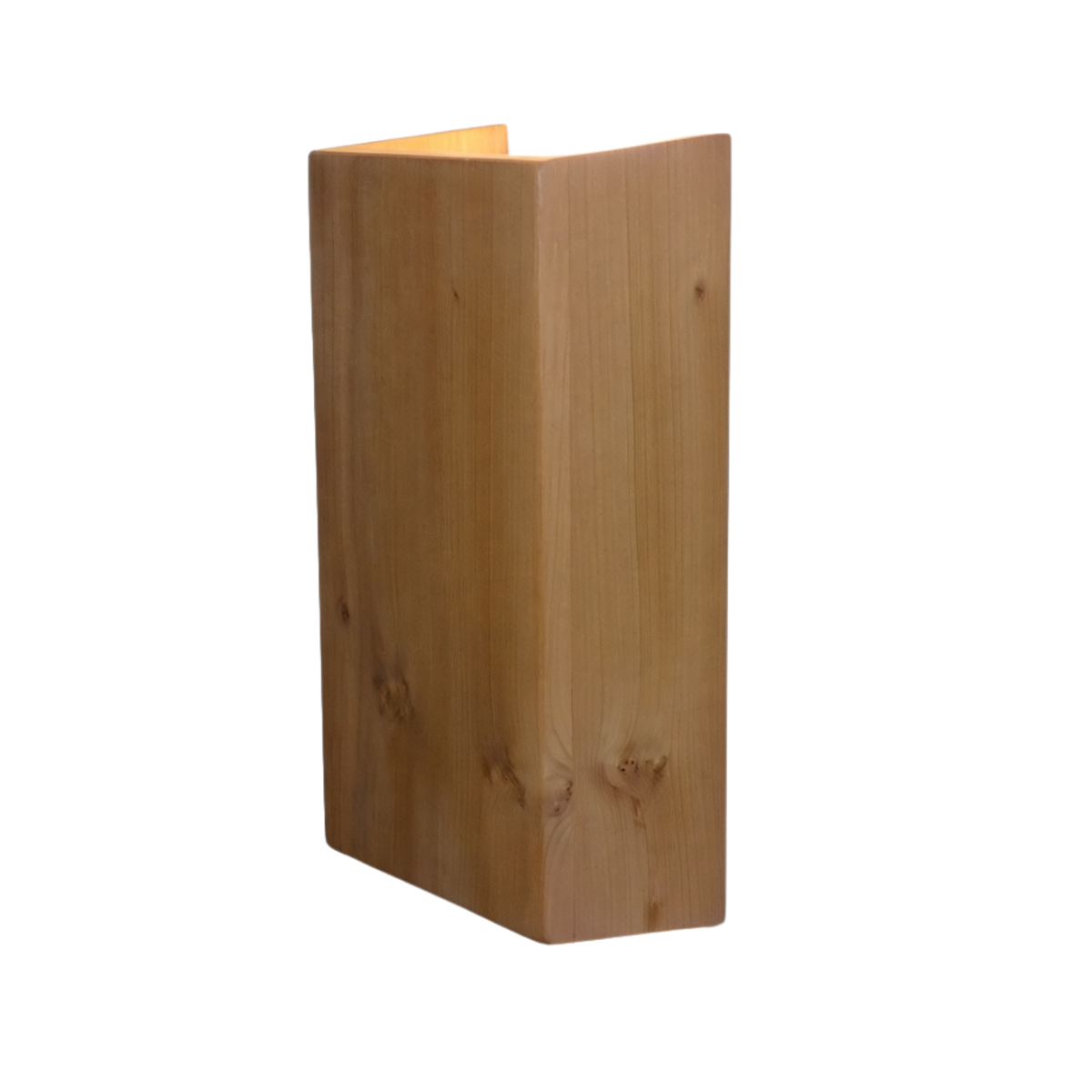 BAMBINO - SMALL TOTARA DUAL BULB WALL LIGHT
