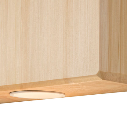 OLIVE - KAHIKATEA WALL LIGHTS - PAIR